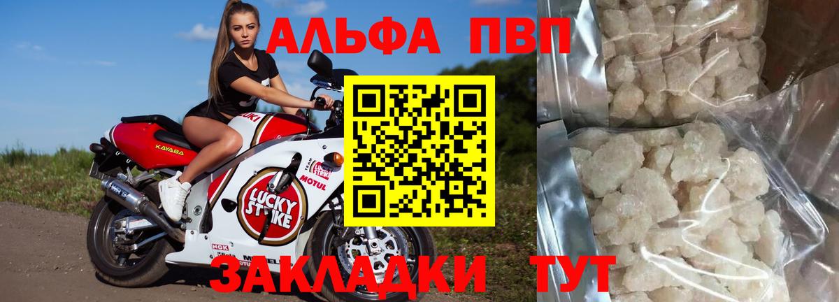 А ПВП крисы CK Новокубанск