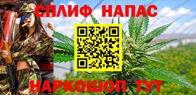 СК Будённовск