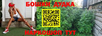СК Будённовск