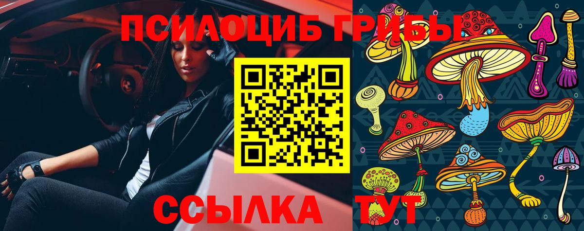 Галлюциногенные грибы ЛСД  Галлюциногенные грибы Magic Shrooms  Новокубанск  Вход с VPN 